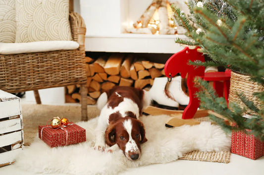 Holiday Gift Guide for Pet Parents: The Uproot Grooming Line