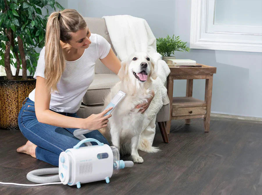The Ultimate Dog Grooming Style Guide